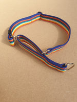 25mm Rainbow Web Dog Leads Collars Harnesses