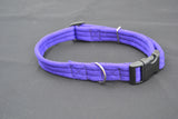 L 25mm Padded Airweb Adjustable Clip Dog Collar